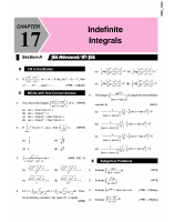 17 Indefinite Integrals.pdf